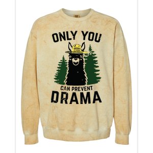 Funny Drama Llama Only You Can Prevent Drama Sarcastic Lover Colorblast Crewneck Sweatshirt