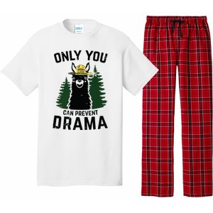 Funny Drama Llama Only You Can Prevent Drama Sarcastic Lover Pajama Set