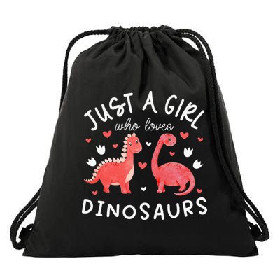 funny Dinosaur Lover Tee Dino Drawstring Bag