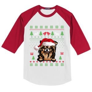 Funny Dog Lovers Chihuahua Santa Hat Ugly Christmas Sweater Gift Kids Colorblock Raglan Jersey