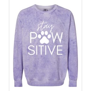 Funny Dog Lover Gift Stay Pawsitive Tee Gift Colorblast Crewneck Sweatshirt