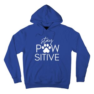 Funny Dog Lover Gift Stay Pawsitive Tee Gift Hoodie