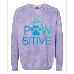 Funny Dog Lover Gift Stay Pawsitive Tee Funny Gift Colorblast Crewneck Sweatshirt