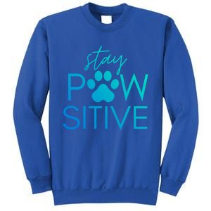 Funny Dog Lover Gift Stay Pawsitive Tee Funny Gift Sweatshirt