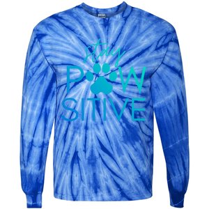 Funny Dog Lover Gift Stay Pawsitive Tee Funny Gift Tie-Dye Long Sleeve Shirt