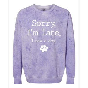 Funny Dog Lover Gift Sorry I'm Late I Saw A Dog Gift Colorblast Crewneck Sweatshirt