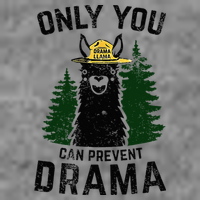Funny Drama Llama Only You Can Prevent Drama Sarcastic Lover Tall Hoodie