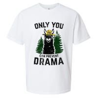 Funny Drama Llama Only You Can Prevent Drama Sarcastic Lover Sueded Cloud Jersey T-Shirt