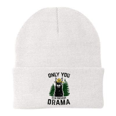 Funny Drama Llama Only You Can Prevent Drama Sarcastic Lover Beanie