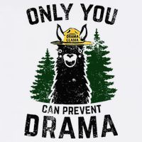 Funny Drama Llama Only You Can Prevent Drama Sarcastic Lover Flatbill Hat