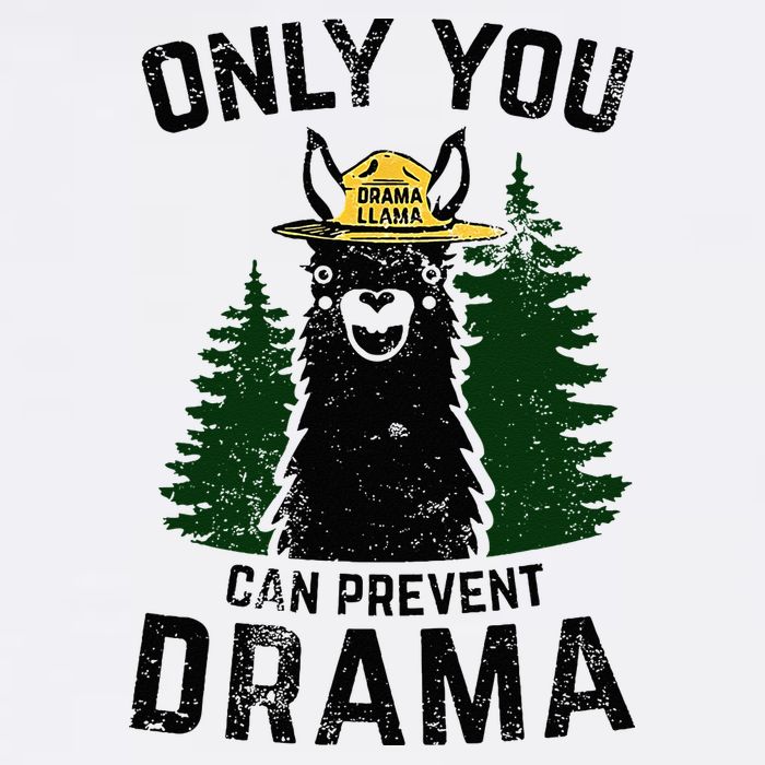 Funny Drama Llama Only You Can Prevent Drama Sarcastic Lover Flatbill Hat