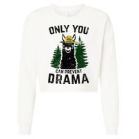 Funny Drama Llama Only You Can Prevent Drama Sarcastic Lover Cropped Pullover Crew