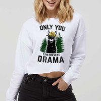 Funny Drama Llama Only You Can Prevent Drama Sarcastic Lover Cropped Pullover Crew