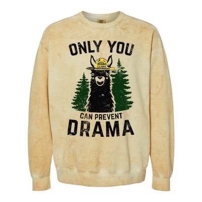 Funny Drama Llama Only You Can Prevent Drama Sarcastic Lover Colorblast Crewneck Sweatshirt