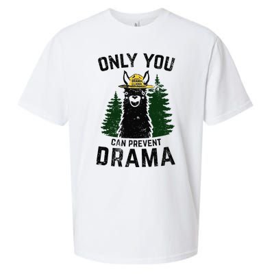 Funny Drama Llama Only You Can Prevent Drama Sarcastic Lover Sueded Cloud Jersey T-Shirt