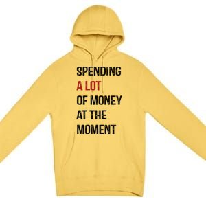 Funny Dad Mom Parents Day Spending A Lot Money At The Moment Premium Pullover Hoodie