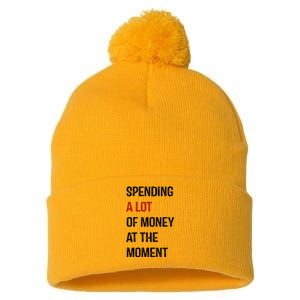 Funny Dad Mom Parents Day Spending A Lot Money At The Moment Pom Pom 12in Knit Beanie