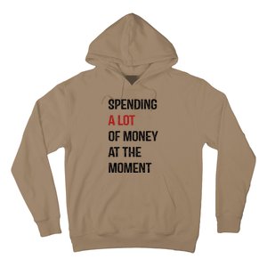 Funny Dad Mom Parents Day Spending A Lot Money At The Moment Hoodie