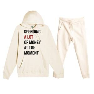 Funny Dad Mom Parents Day Spending A Lot Money At The Moment Premium Hooded Sweatsuit Set