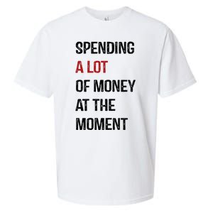 Funny Dad Mom Parents Day Spending A Lot Money At The Moment Sueded Cloud Jersey T-Shirt