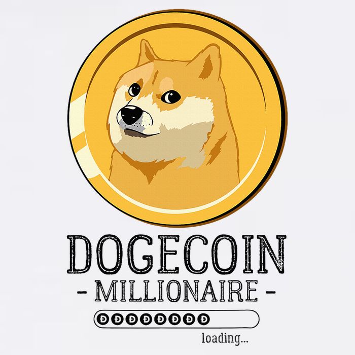 Funny Dogecoin Millionaire Hodl Doge Coin Crypto Wool Snapback Cap