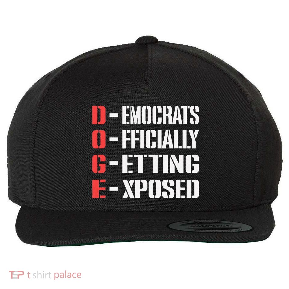 Funny Doge Meaning Government Corruption Exposed Wool Snapback Cap