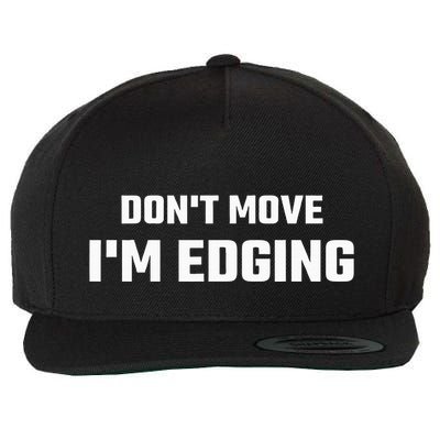 Funny Don't Move I'm Edging  Wool Snapback Cap