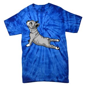 Funny Dog Meditation Tee Pilates Yoga And Dogs Lover Gift Tie-Dye T-Shirt