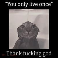 Funny Depressed Meme Cat Flatbill Hat