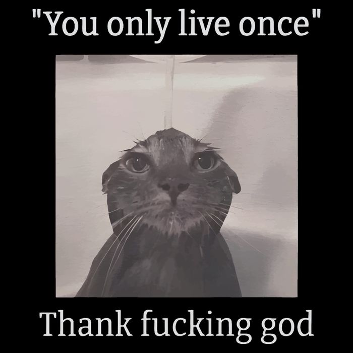 Funny Depressed Meme Cat Crop Top
