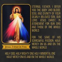 Funny Divine Mercy Jesus Image Chaplet Novena Prayer Catholic 7 Panel Mesh Trucker Snapback Hat