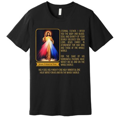 Funny Divine Mercy Jesus Image Chaplet Novena Prayer Catholic Premium T-Shirt