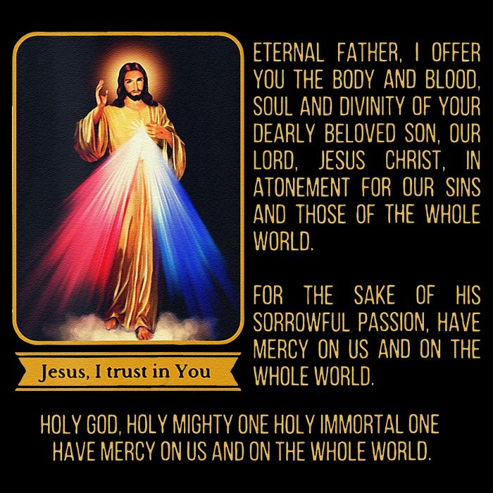 Funny Divine Mercy Jesus Image Chaplet Novena Prayer Catholic Toddler T-Shirt