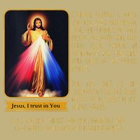 Funny Divine Mercy Jesus Image Chaplet Novena Prayer Catholic T-Shirt