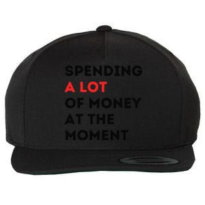 Funny Dad Mom Parents Day Spending A Lot Money At The Moment Wool Snapback Cap