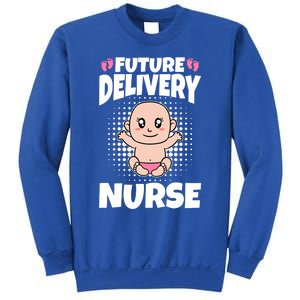 Future Delivery Nurse Meaningful Gift Sweatshirt