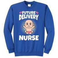 Future Delivery Nurse Meaningful Gift Sweatshirt