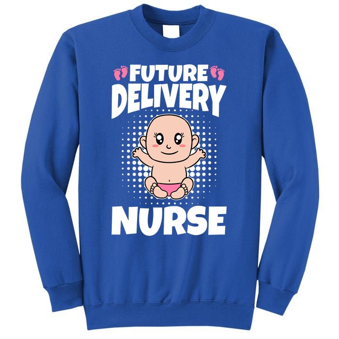 Future Delivery Nurse Meaningful Gift Sweatshirt