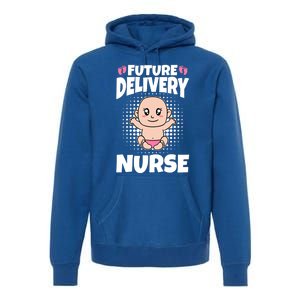 Future Delivery Nurse Meaningful Gift Premium Hoodie