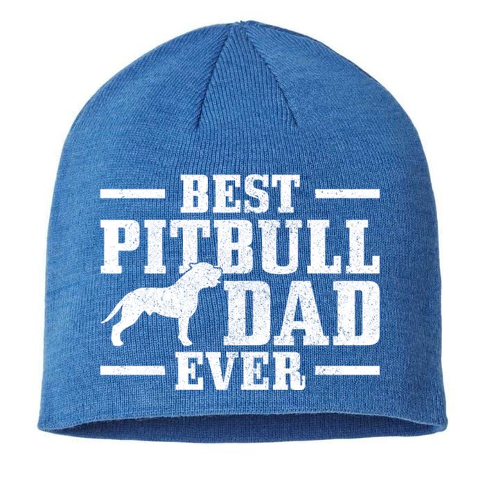 Funny Dog Owner Vintage Pitbull Gift Sustainable Beanie