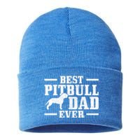 Funny Dog Owner Vintage Pitbull Gift Sustainable Knit Beanie