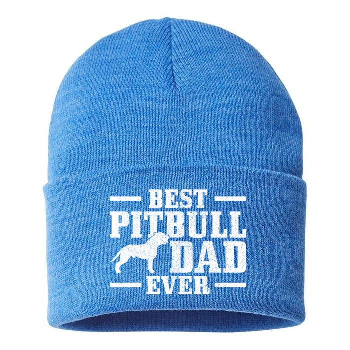 Funny Dog Owner Vintage Pitbull Gift Sustainable Knit Beanie