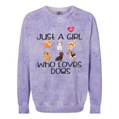 Funy Dog Puppy Lover Themed Cute Just A Girl Who Loves Dogs Colorblast Crewneck Sweatshirt