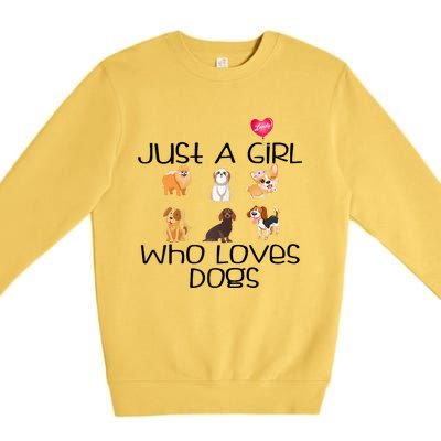 Funy Dog Puppy Lover Themed Cute Just A Girl Who Loves Dogs Premium Crewneck Sweatshirt