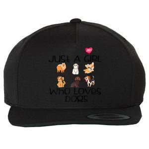 Funy Dog Puppy Lover Themed Cute Just A Girl Who Loves Dogs Wool Snapback Cap