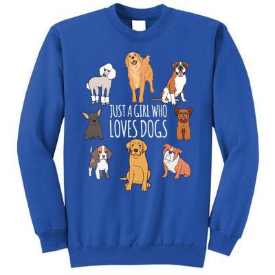 Fun Dog Puppy Lover Themed Cute Just A Girl Who Loves Dogs Cool Gift Sweatshirt