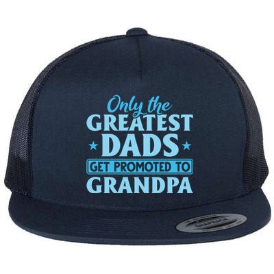 Funny Dad Promoted To Grandpa Best Dads Promoted To Grandpa Meaningful Gift Flat Bill Trucker Hat