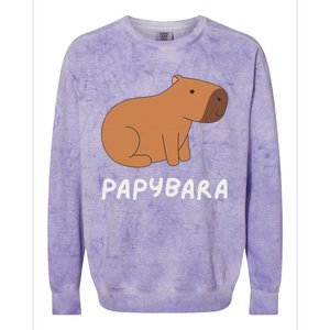 FatherS Day Papybara Funny Capybara For Dads Colorblast Crewneck Sweatshirt