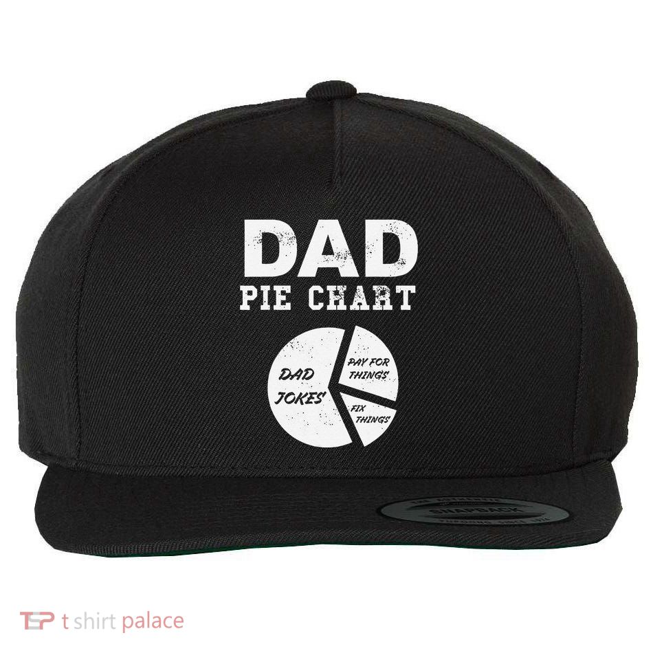 Funny Dad Pie Chart Dad Jokes Pay For Things Fix Things Wool Snapback Cap
