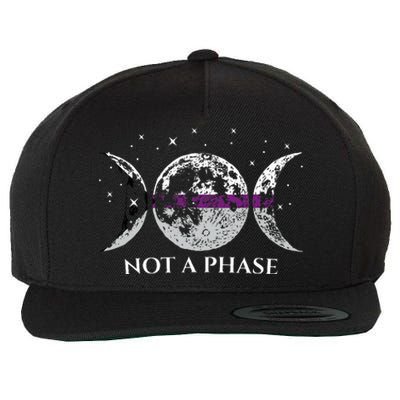 Funny Demisexual Pride Flag Not A Phase Wool Snapback Cap